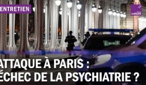 Attaque à Paris : quelles réponses psychiatriques pour les radicalisés ?