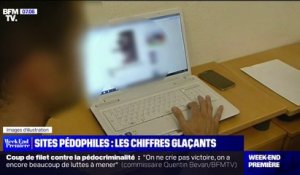 Pédocriminalité: "des milliers de connexions par minute" sur les sites pédophiles en France, selon la secrétaire d'État chargée de l'Enfance