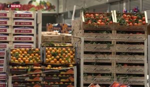 Noël : Le marché de Rungis en ébullition