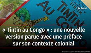 « Tintin au Congo » : une nouvelle version parue avec une préface sur son contexte colonial