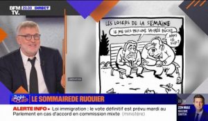 Projet de loi immigration et insultes envers Cyrielle Chatelain: le sommaire du 20H de Ruquier