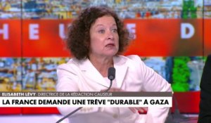 Elisabeth Lévy : «Je crois que la démilitarisation de Gaza devrait être atteignable»