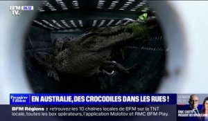 Inondations en Australie: des crocodiles aperçus dans les rues à cause des crues