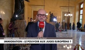Ludovic Mendes : «Entre la vision de Marine Le Pen et celle de la majorité, il y a un monde»