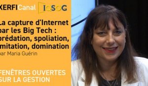 La capture d'Internet par les Big Tech : prédation, spoliation, imitation, domination [Maria Guérin]