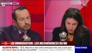Loi immigration: "Le Conseil constitutionnel jugera", affirme Sébastien Chenu