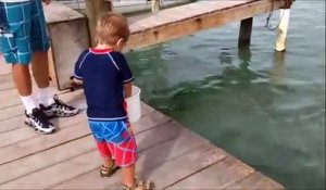 Cet enfant pensait nourrir des poissons mais attendez la suite