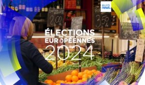 Elections européennes : quelles sont les priorités des électeurs de l'UE ?