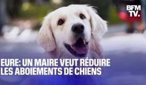 Eure: un maire signe un arrêté pour limiter les aboiements de chiens