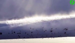 Vague de neige poussée par le vent magnifique et impressionnant