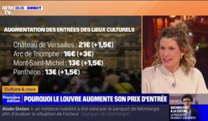 Musée du Louvre, château de Versailles, Panthéon... Pourquoi les lieux culturels de Paris augmentent les prix de leur billet d'entrée