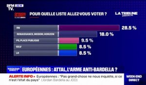 Européennes: le Rassemblement National est en tête des intentions de vote, nettement devant le groupe Renaissance selon un sondage Elabe
