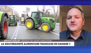 Arnaud Gaillot : «La France pourrait d'ici peu ne plus être autonome en produits laitiers produits sur le sol français»