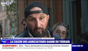 Blocage de l'A64: "On continue notre combat", affirme Jérôme Bayle, éleveur de bovins à Carbonne