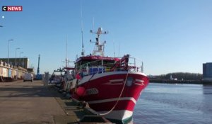 Golfe de Gascogne : pas de pêche pendant un mois