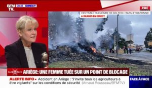 "C'est du lobby vert": Nadine Morano (LR) fustige les normes environnementales qui encadrent l'agriculture française