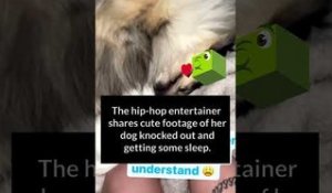 Bhad Bhabie's Furry Puppy Is Knocked Out Catching ZZZ’s #shorts