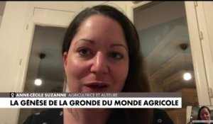 Anne-Cécile Suzanne : «Aujourd'hui, notre monde agricole est trop complexe, on nous demande des choses inatteignables»