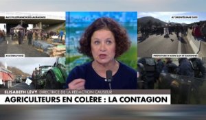 Elisabeth Lévy : «Je suis en colère contre nous tous (...) Nous adorons nos agriculteurs, mais nous nous précipitons dans les supermarchés»
