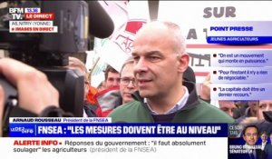 Arnaud Rousseau, président de la FNSEA: "On ne fera pas d'environnement punitif"