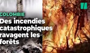 En Colombie, les incendies de forêts ont déjà dévasté l’équivalent d’une fois et demie la superficie de Paris