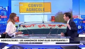 François-Xavier Bellamy : «Le sort du monde agricole concerne tous les Français»