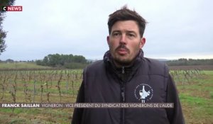 Portrait d'un viticulteur de Narbonne