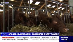 Accord UE-Mercosur: pourquoi les agriculteurs sont contre