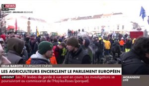 Agriculteurs: Premiers incidents à Bruxelles avec la police alors que des centaines de tracteurs encerclent le Parlement européen - Regardez