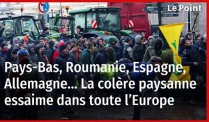 Pays-Bas, Roumanie, Espagne, Allemagne… La colère paysanne essaime dans toute l’Europe