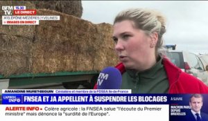 Crise agricole: "Ce n'est pas parce qu'on peut lever un point de blocage qu'on ne va pas rester mobilisés", assure cette céréalière