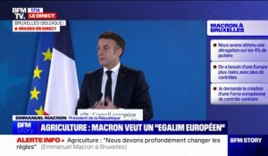 Normes agricoles: Emmanuel Macron souhaite "des contrôles homogènes au niveau européen"