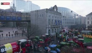 Bruxelles : la convergence des luttes agricoles européennes