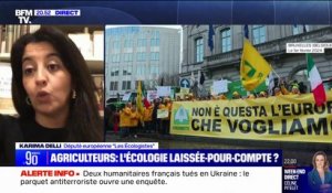 Pause du plan Écophyto: "Le gouvernement a choisi les lobbies plutôt que l'écologie", pour la députée européenne "Les Écologistes" Karima Delli