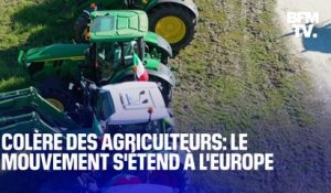 Grèce, Italie, Roumanie... Les images de la mobilisation des agriculteurs en Europe
