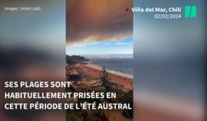 Les incendies au Chili font au moins une cinquantaine de morts