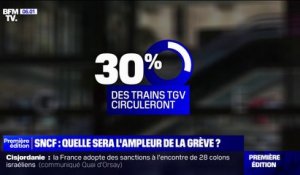 SNCF: quelle sera l'ampleur de la grève prévue ce week-end?