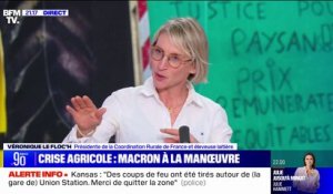 "Je pense qu'il n'a pas tout compris": Véronique Le Floc’h (présidente de la coordination Rurale) évoque sa rencontre avec Emmanuel Macron à l'Élysée