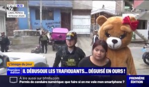 Quand la police péruvienne se déguise en ours en peluche pour arrêter les narcotrafiquants