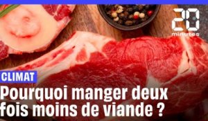 Manger deux fois moins de viande, une pratique bonne pour la santé et le climat ?