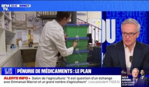 Paracétamol : l'usine basée à Toulouse pourra produire "en pleine capacité 40% de la consommation française" assure Jean Boher (président d'Ipsophène)