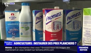 Emmanuel Macron veut instaurer un prix plancher pour garantir les revenus des agriculteurs