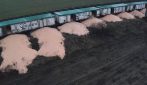 Pologne : 160 tonnes de céréales en provenance d'Ukraine déversées sur les voies ferrées