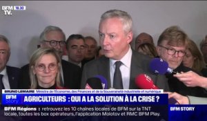 Salon de l'agriculture: Bruno Le Maire dénonce ceux qui disent "n'importe quoi, en jouant sur la colère des agriculteurs"