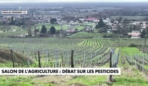 Salon de l'agriculture : débat sur les pesticides
