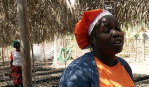 Côte d'Ivoire : comment les coopératives de cacao luttent contre la déforestation