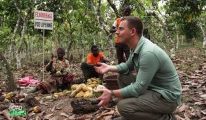 L'UE et la Côte d'Ivoire coopèrent pour une production de cacao plus durable