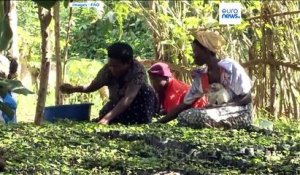 Réchauffement climatique : les femmes et les pauvres plus touchés en zone rurale