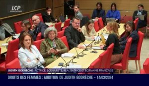 Audition à l'Assemblée nationale - Violences sexuelles dans le 7e art : audition de Judith Godrèche - 14/04/2024