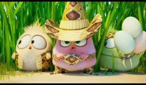 Angry Birds : Copains comme cochons Bande-annonce (UK)